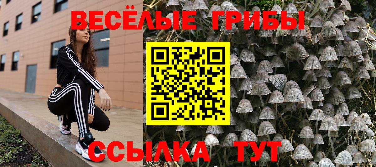 Галлюциногенные грибы мухоморы Кулебаки