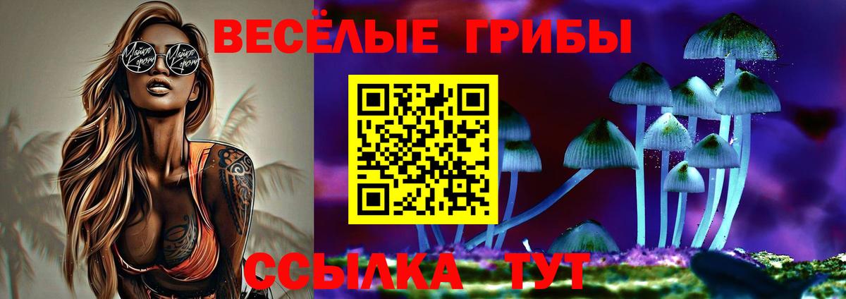 Псилоцибиновые грибы мицелий  Псилоцибиновые грибы MAGIC MUSHROOMS  Кулебаки  Вход с VPN 